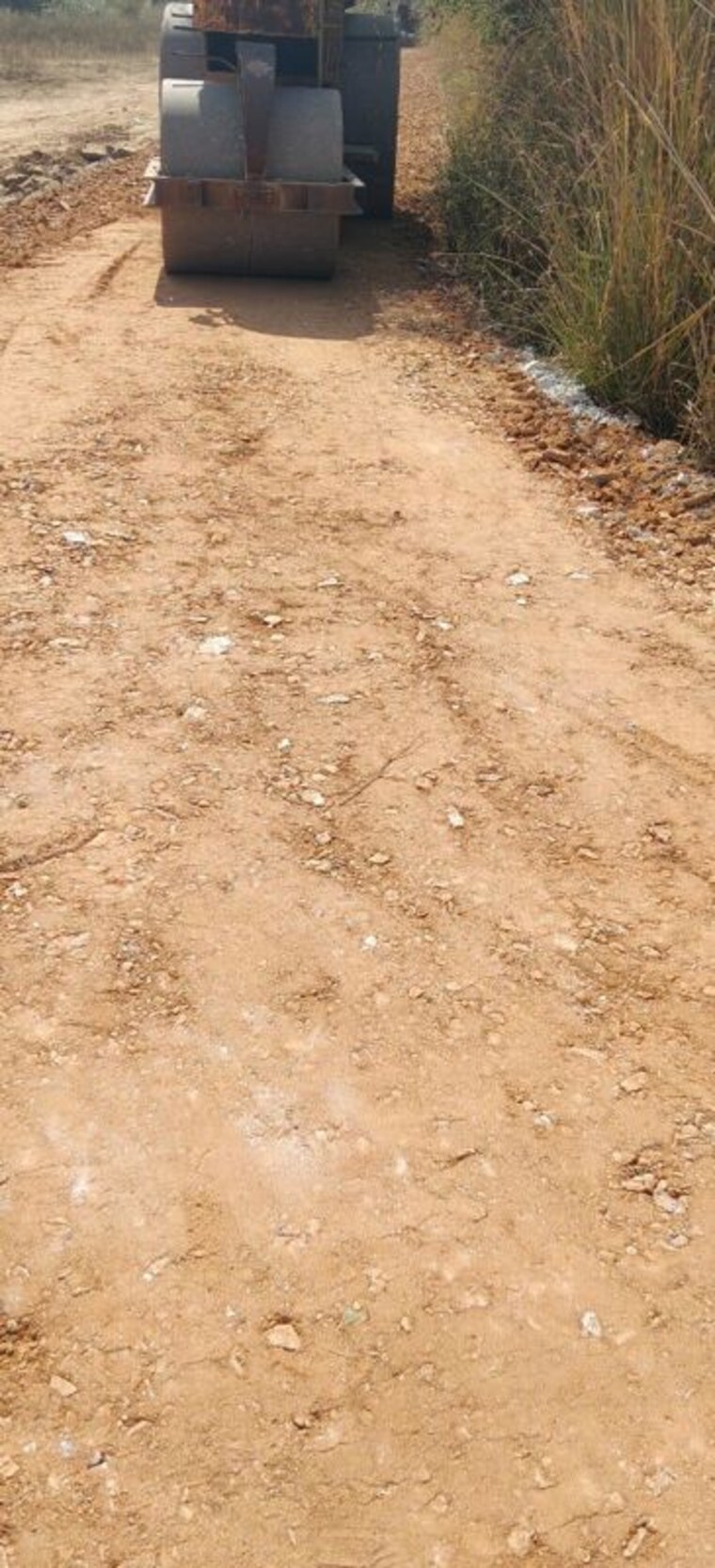 undefined, khatushyamji  100 Sq.Yd. Plot In Khatushyamji Sikar 9955970