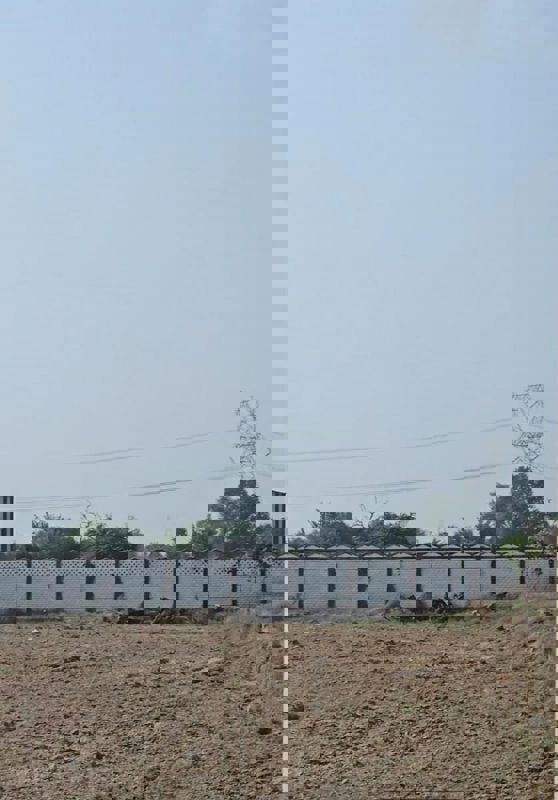 Plot For Sale in Sujanpur