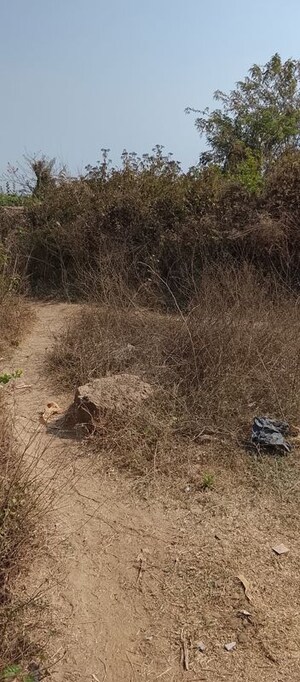 Plot Area in  Plot at Patrapada – for Sale