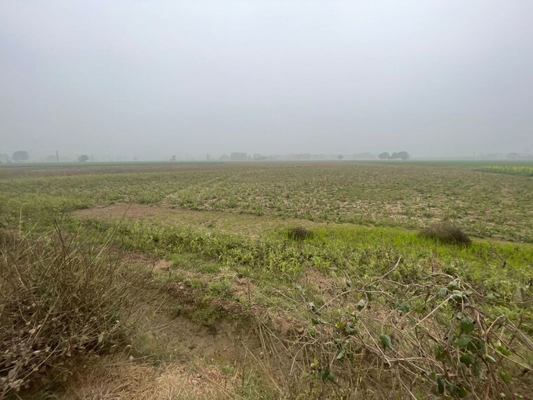 undefined, khanpur  105 Sq.Yd. Plot In Khanpur Kharar 9956187