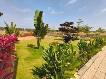  Plot – Garden View at Channarayapatna - for Sale
