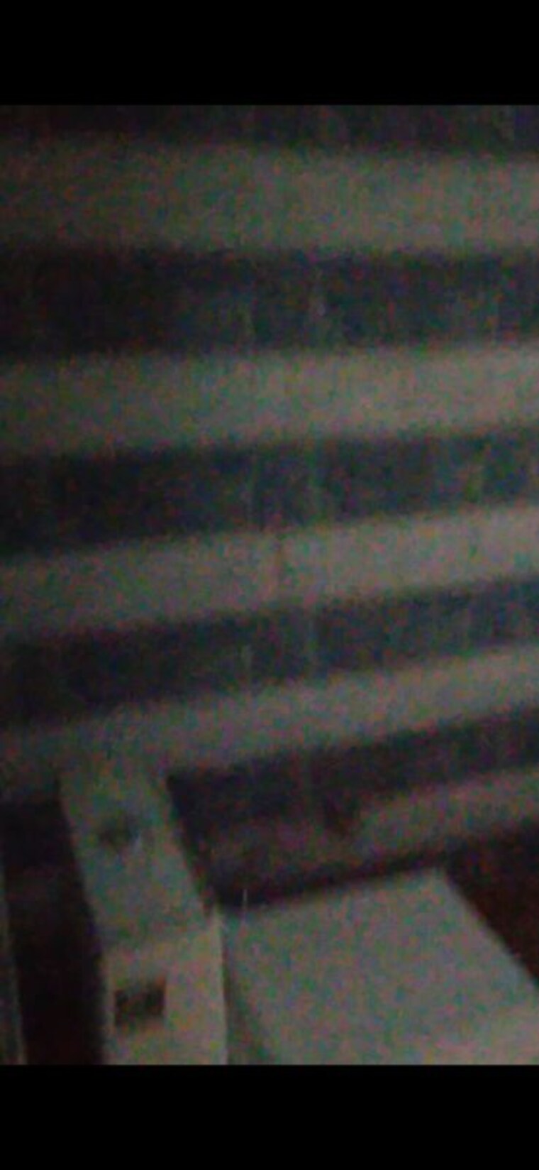 Garden, vipin garden 2 Bedroom 50 Sq.Yd. Builder Floor In Vipin Garden Delhi 9956479