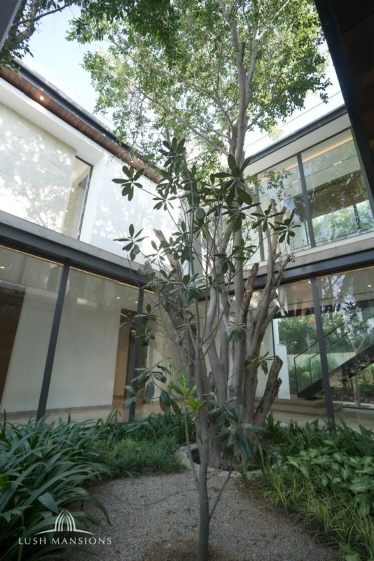 Exterior View, chattarpur 5 Bedroom 13000 Sq.Ft. Villa In Chattarpur Delhi 9956506