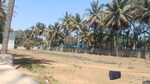 20000 Sq.Ft. Land in Kannur