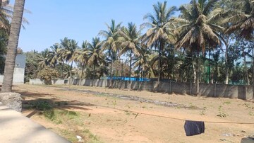  Land For Sale in Kannur
