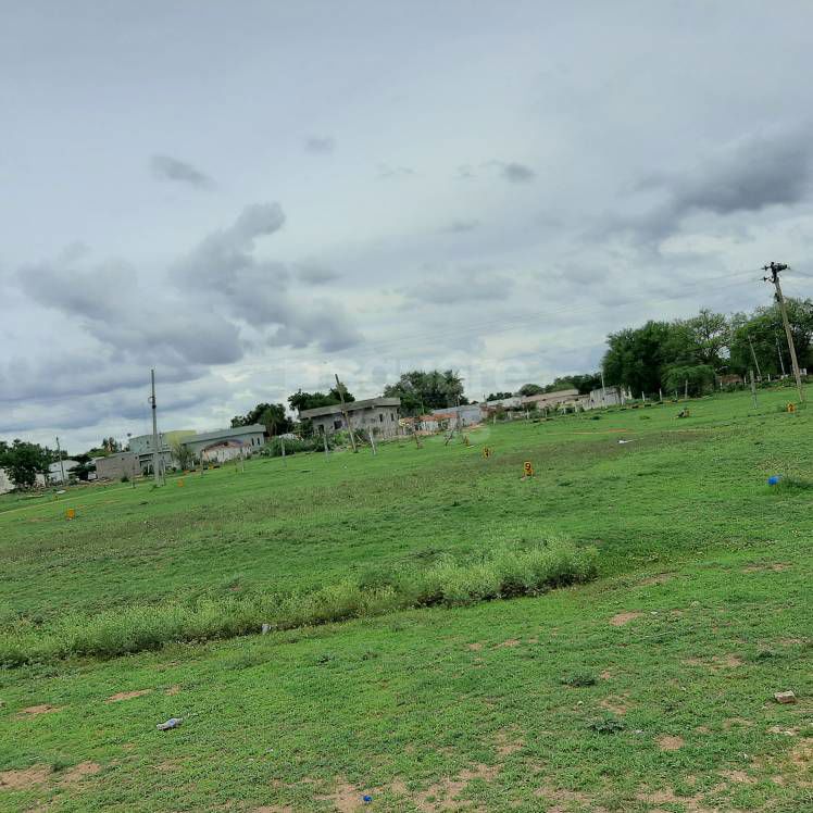 Plot For Sale in Shadnagar