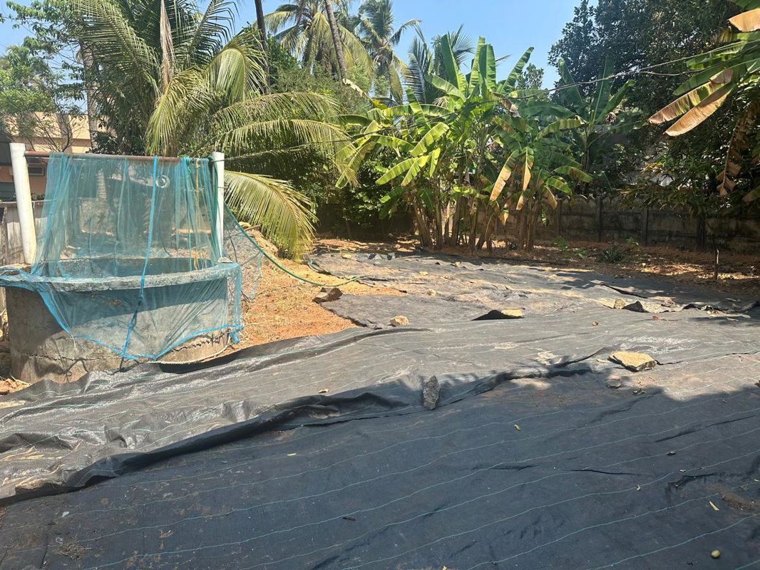 Plot For Sale in Kanimangalam