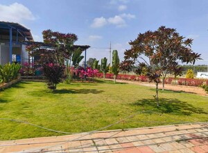  Plot – Exterior View View at Vijay Nagar - for Sale
