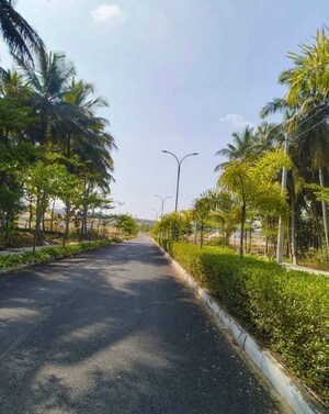  Plot – Exterior View View at Vijay Nagar - for Sale