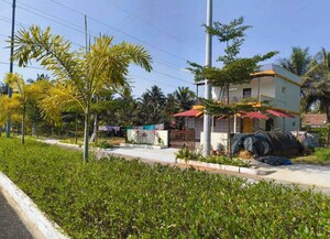  Plot – Exterior View View at Vijay Nagar - for Sale