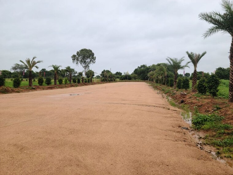 undefined, tdi city  200 Sq.Yd. Plot In Tdi City Panipat 9958245