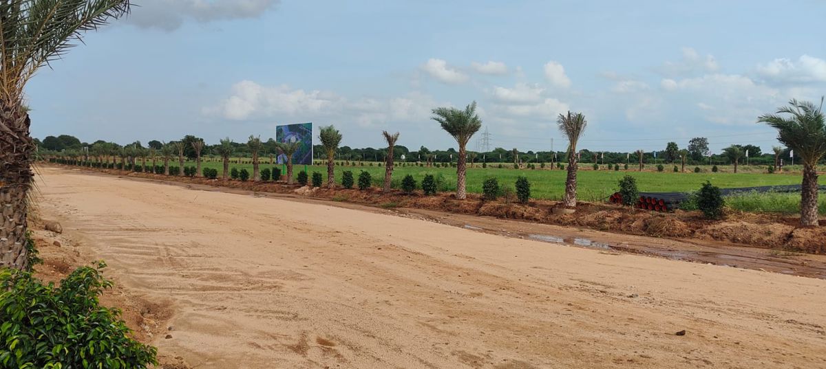 Plot For Sale in TDI city