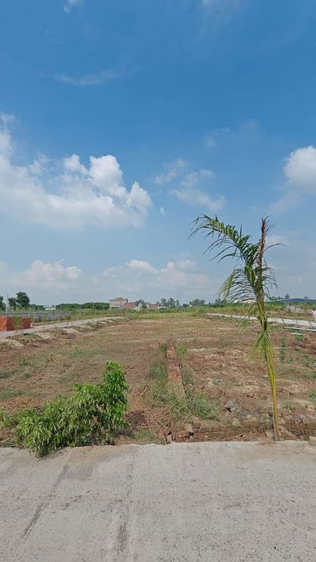 Plot For Sale in Sector 44
