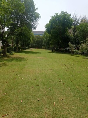  Plot – Garden View at Huda Market, Sector 31 - for Sale