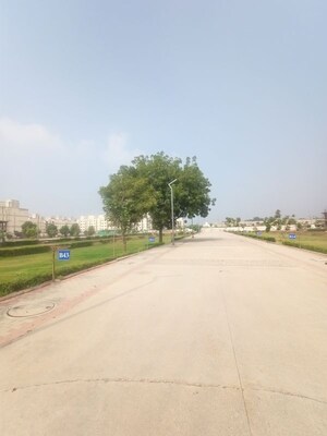  Plot – Exterior View View at ROF Normanton Park, Sohna Sector 36 - for Sale