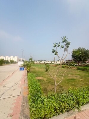 Plot Area in  Plot at ROF Normanton Park, Sohna Sector 36 – for Sale
