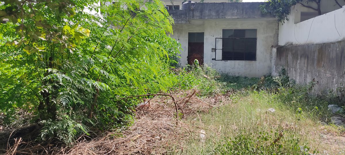Plot For Sale in Sector 15 II