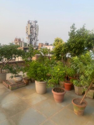 2 BHK Builder Floor – Exterior View View at Greater Kailash I - for Rent