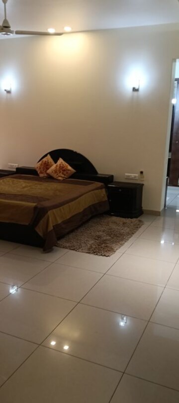 Living Room in 2 BHK Independent House at Sector 37 – for Rent