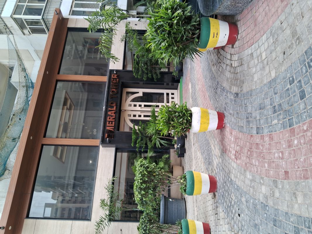 3.5 BHK + Servant Room Apartment For Sale in JKG Palm Resort