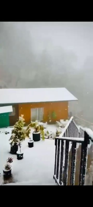 2 BHK 1502 Sq.Ft. Apartment in The Forest Chalet