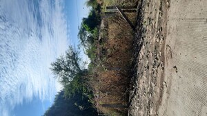  Plot – Garden View at Oyster Green Mount City, Ab Bypass Road - for Sale