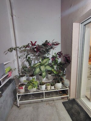 Balcony in 2 BHK Apartment at Kumar Piccadilly, Wakad – for Rent