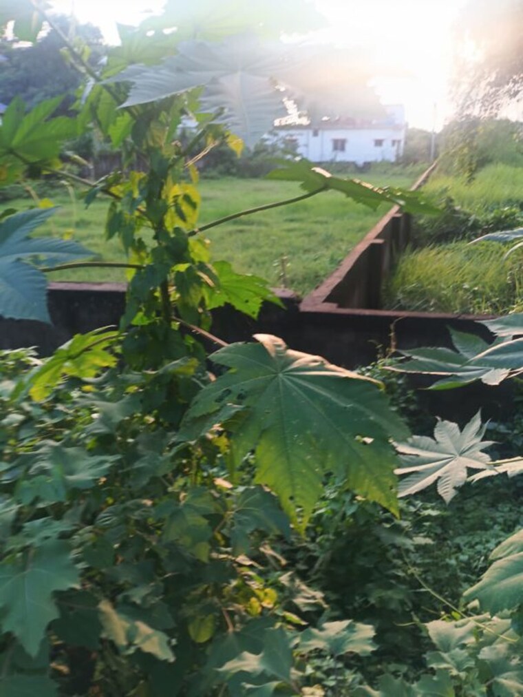 Exterior View, malancha  15120 Sq.Ft. Plot In Malancha Kolkata 9961568