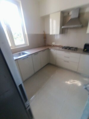 Kitchen/pantry in 4 BHK Apartment at Emaar MGF The Palm Drive Villas, Sector 66 – for Rent