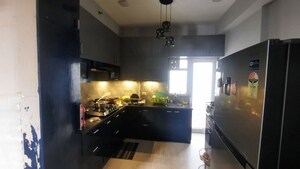 Kitchen in 3 BHK Apartment at Amrapali Crystal Homes, Sector 76 – for Rent