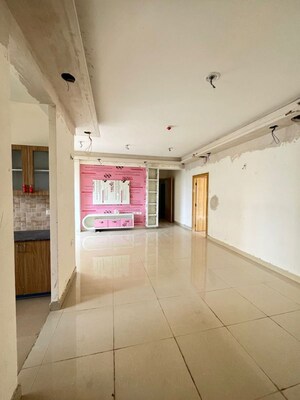 3 BHK Apartment For Rent in Amrapali Crystal Homes, Sector 76
