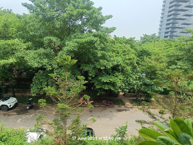 Garden, emaar-emerald-floors 4 Bedroom 350 Sq.Yd. Builder Floor In Sector 65 Gurgaon 9962864