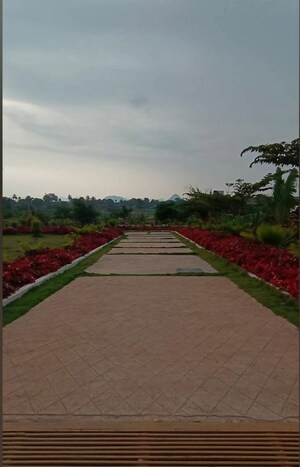  Plot For Sale in Channarayapatna