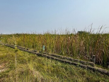  Plot For Sale in Turangi