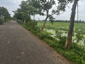 Plot Area in  Land at Chollangi – for Sale