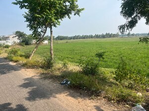  Land For Sale in Chollangi