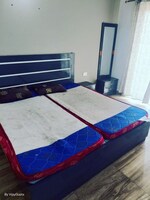 1 BHK 435 Sq.Ft. Apartment in Paramount Golfforeste