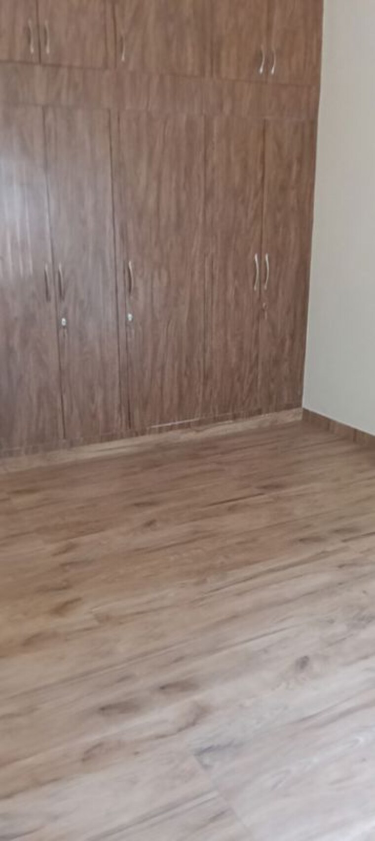 Room, sector 40 6+ Bedroom 2250 Sq.Ft. Independent House In Sector 40 Chandigarh 9959539