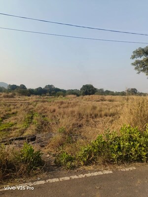 Plot Area in  Plot at Palaspe Phata – for Sale