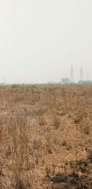 Plot Area in  Plot at Palaspe Phata – for Sale