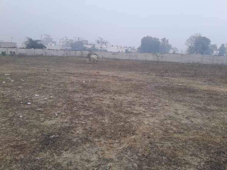 undefined, arsha-madhav-greens  750 Sq.Ft. Plot In Gomti Nagar Lucknow 9964387