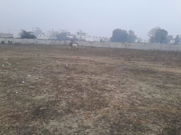 undefined, deva road  500 Sq.Ft. Plot In Deva Road Lucknow 9964436