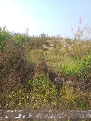 Plot Area in  Plot at Royal City Phase 2, Deva Road – for Sale