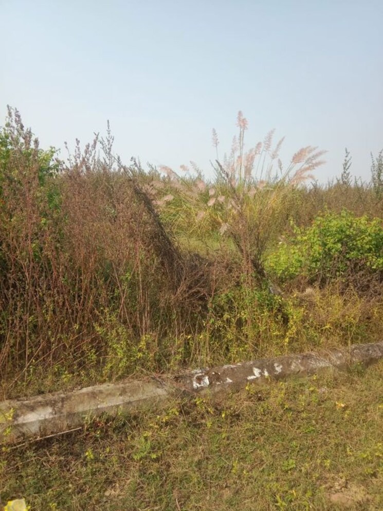 undefined, royal-city-phase-2  600 Sq.Ft. Plot In Deva Road Lucknow 9964453