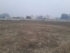 Plot For Sale in Royal City Phase 1