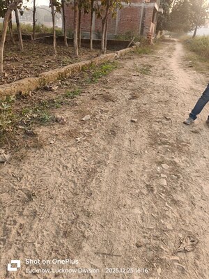 Plot Area in  Plot at Royal City Phase 1, Deva Road – for Sale