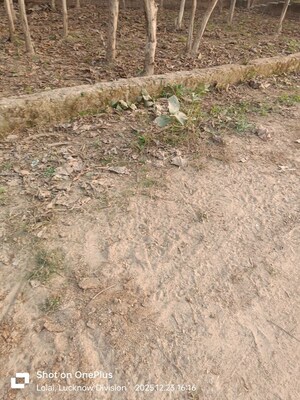 Plot Area in  Plot at Royal City Phase 1, Deva Road – for Sale