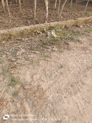 Plot Area in  Plot at Royal City Phase 1, Deva Road – for Sale