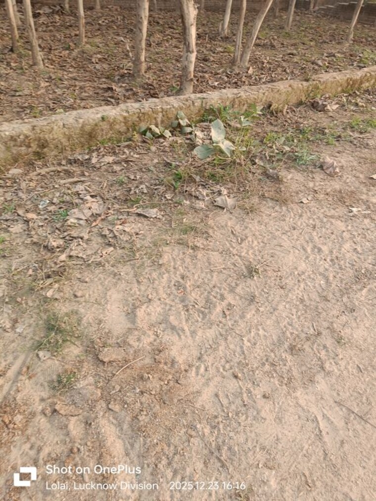 undefined, royal-city-phase-1  1157 Sq.Ft. Plot In Deva Road Lucknow 9964655