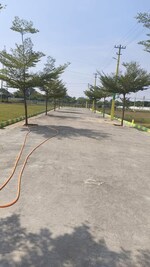 1200 Sq.Ft. Plot in Kolar